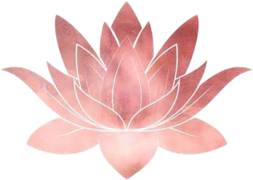 a beautiful lotus flower in a beautiful shimmering pale pink