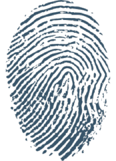 Palmistry Loop Fingerprint